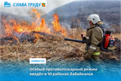 Особый противопожарный режим введён в 10 районах края