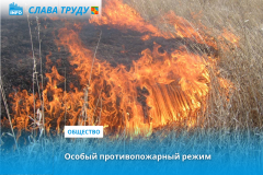 В Краснокаменском районе действует особый противопожарный режим