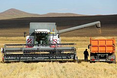 Правительство России компенсировало хозяйствам Забайкалья затраты на производство зерновых культур