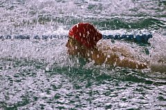 «Амурские тигрята 2023»: В Краснокаменске пройдут отборочные туры на всероссийские соревнования по плаванию