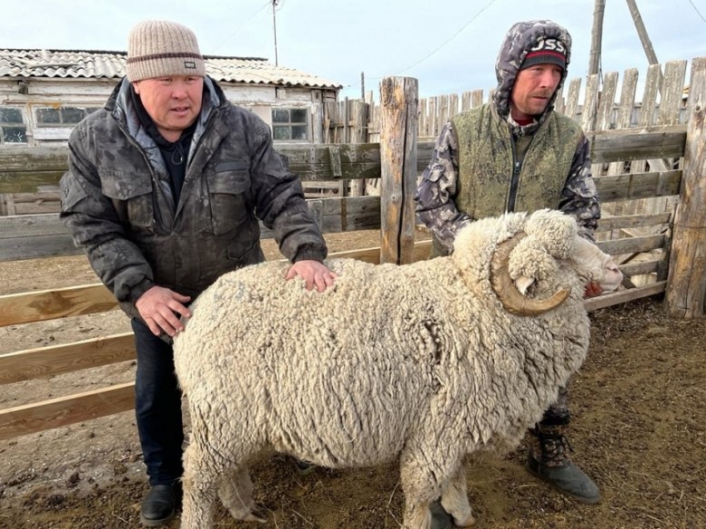 Фото пресс-службы министерства сельского хозяйства Забайкалья