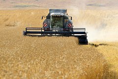 Забайкалье вошло в ТОП-5 регионов России по развитию сельскохозяйственной кредитной кооперации