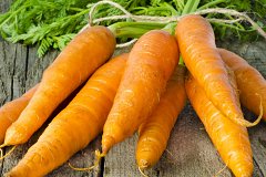 «Почвенные» предпочтения моркови