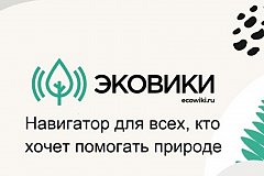 Забайкальцев приглашают принять участие в конкурсе от экологической общественной организации