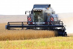 Хозяйства Забайкалья убрали 81% посевов зерновых культур