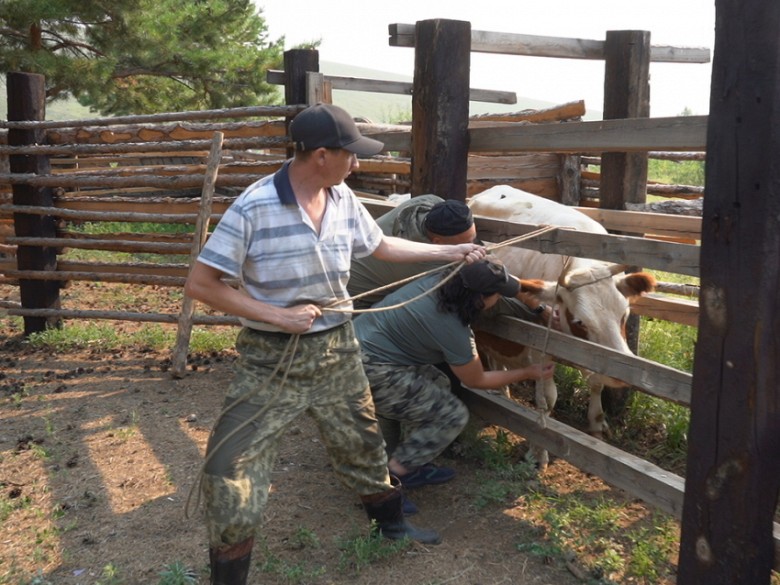 Фото Государственной ветеринарной службы Забайкалья